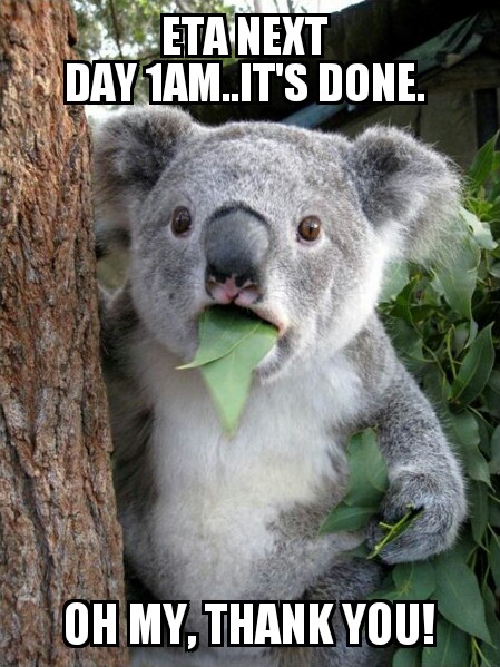 Name:  Surprised Koala 05092016151223.jpg
Views: 620
Size:  95.6 KB