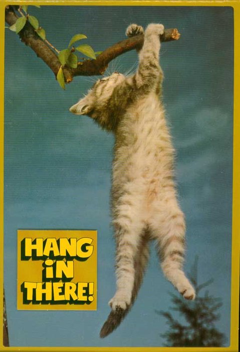 Name:  kitten-hang-in-there-poster.jpg
Views: 457
Size:  72.0 KB