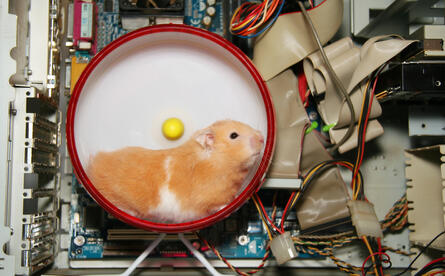 Name:  Hamster.jpg
Views: 1458
Size:  34.6 KB